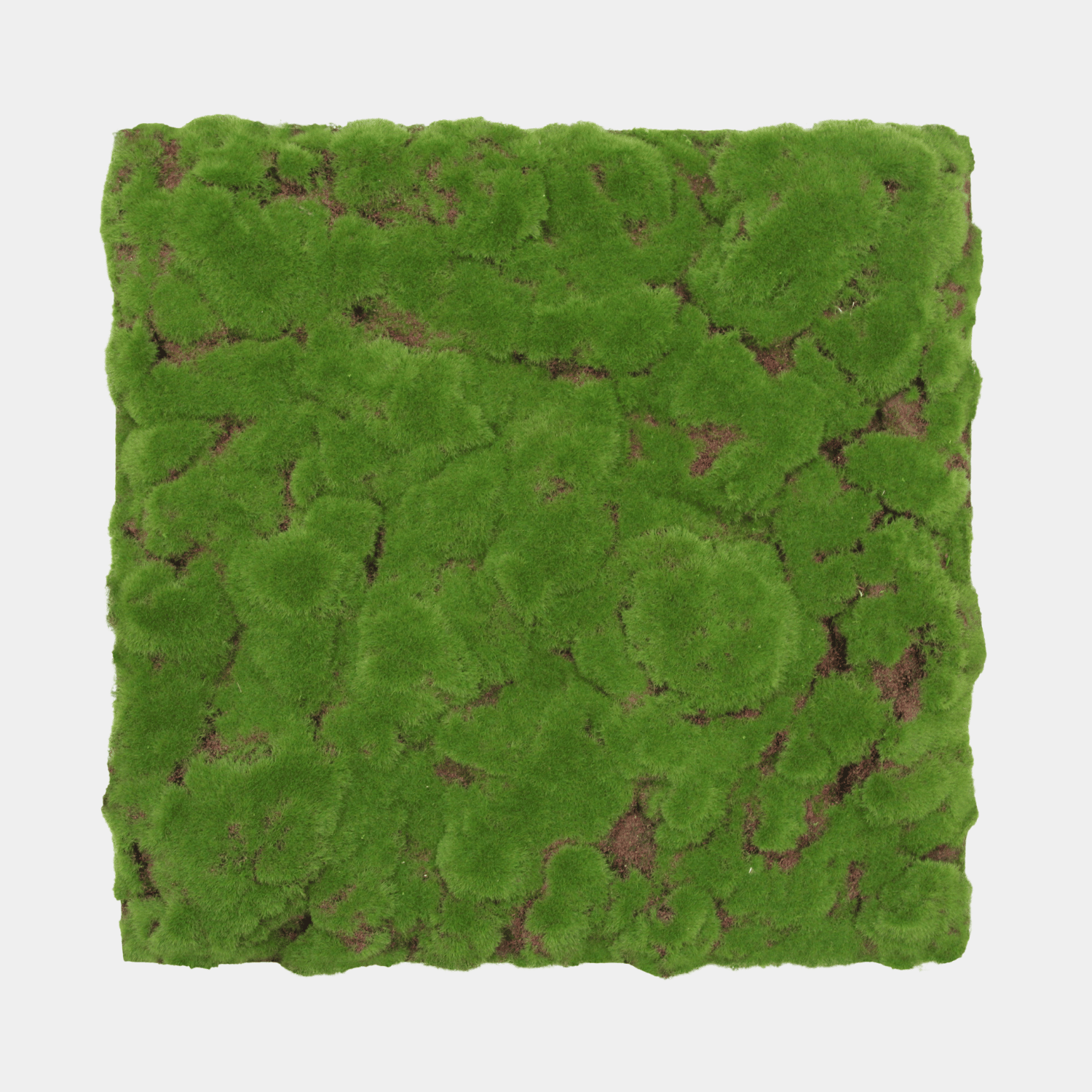 Akoestisch Mospaneel 52x52cm - Nature green