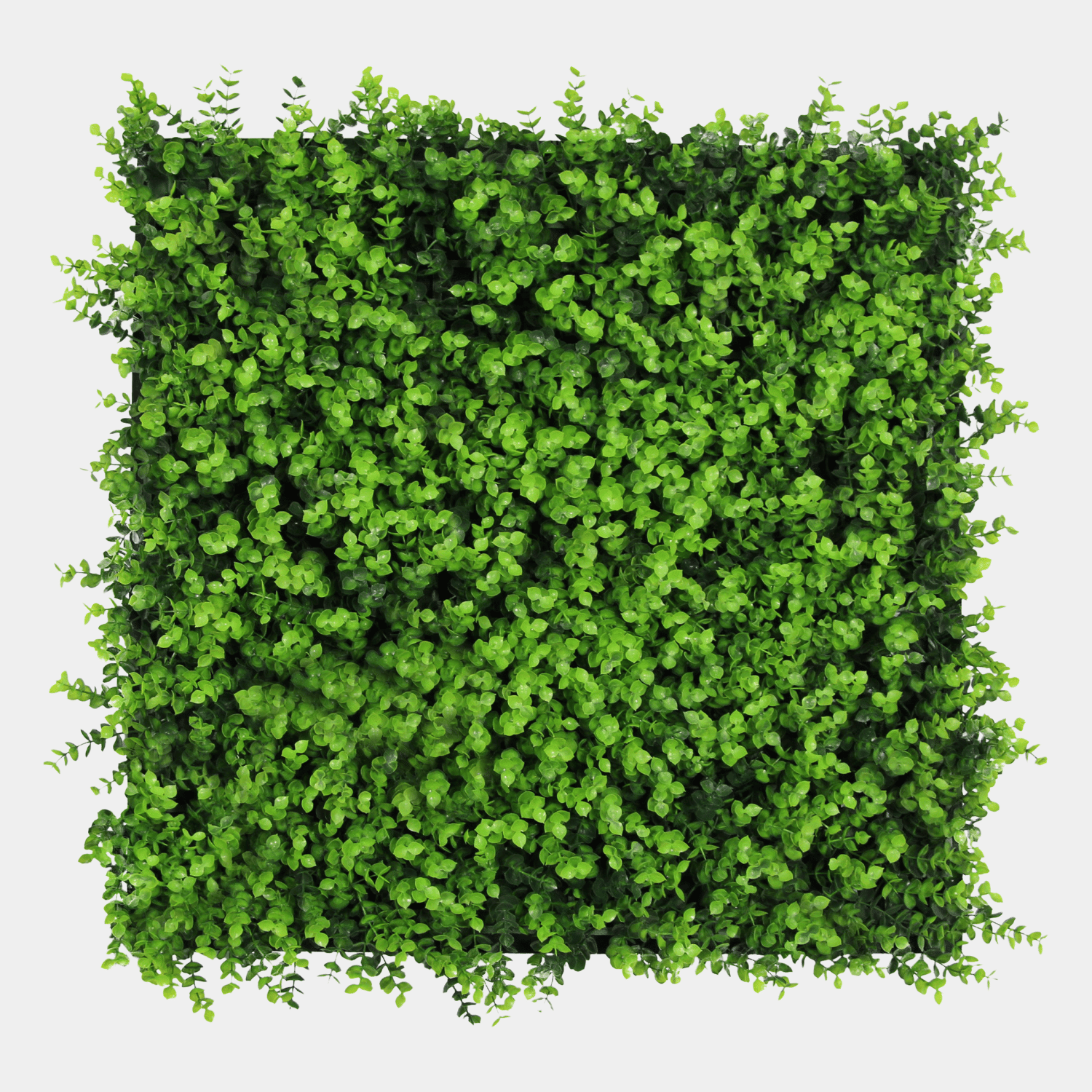 Akoestisch Plantpaneel 52x52cm - Mixed Green Buxus