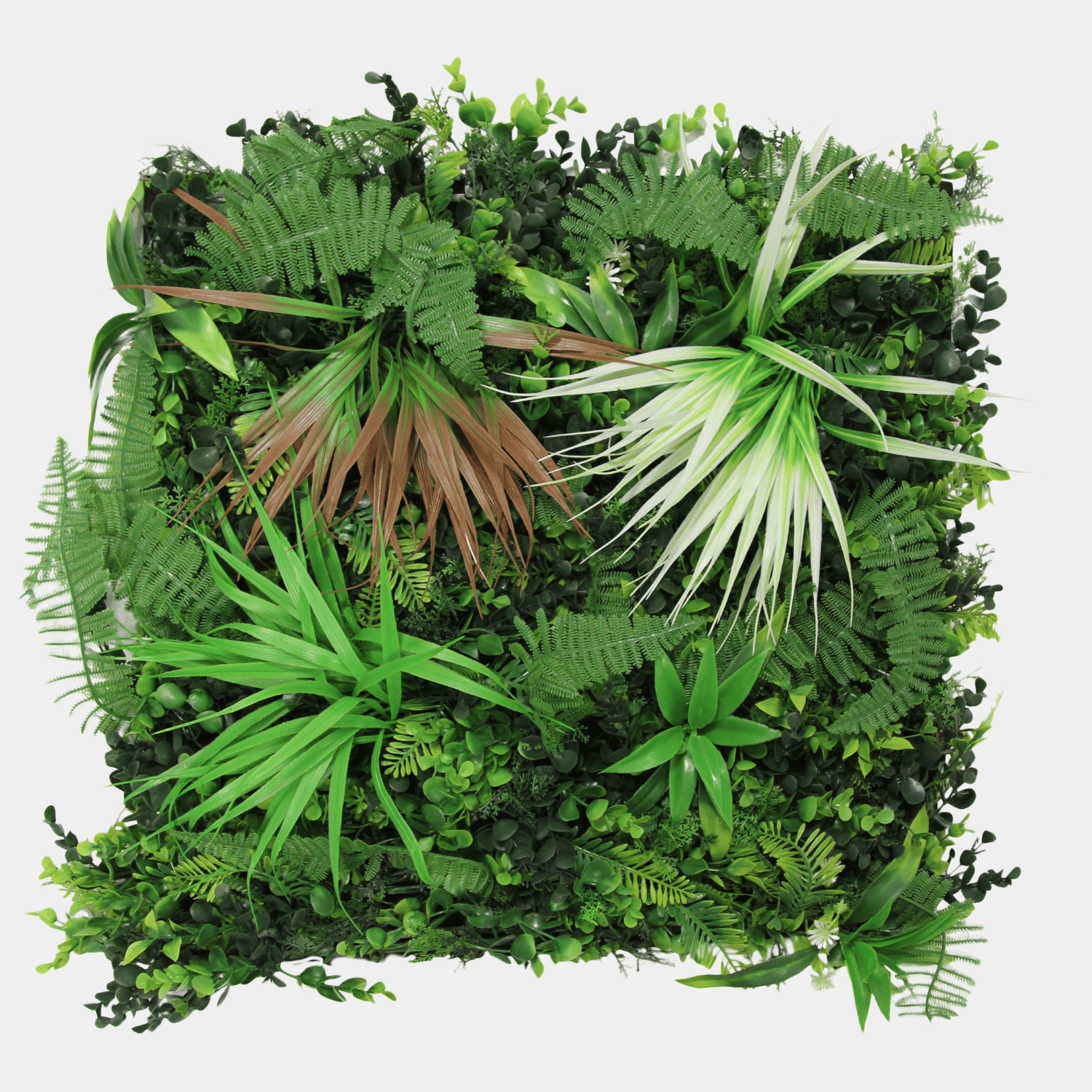 Akustisches Pflanzenpaneel 52 x 52 cm – exotische gemischte Flora